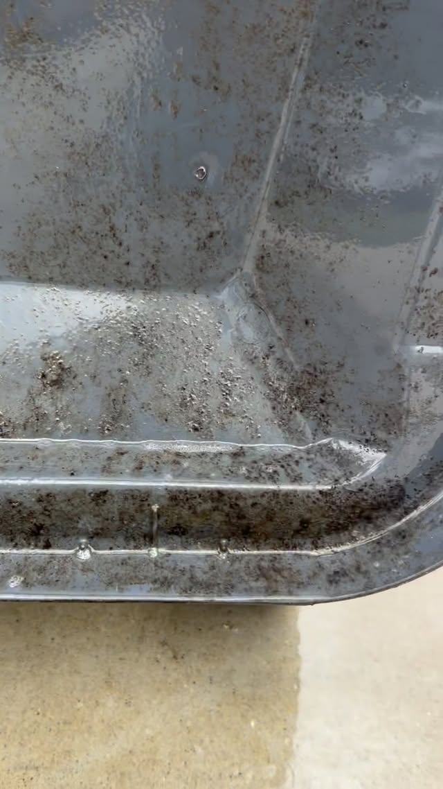 Your trash can is a 5-star hotel for things you don't want near home.